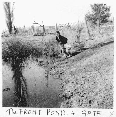 The Front Pond and Gate. adjacent to the Station Street gateway, but it is more concealed now by trees and brush than it once was.